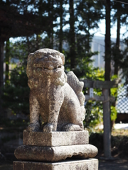 小月神社の狛犬