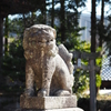 小月神社の狛犬
