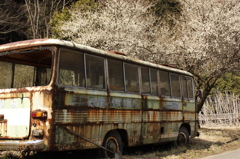 梅と廃バス　１