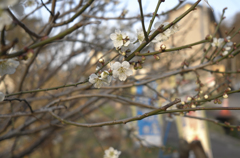 Spring 3