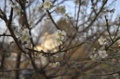 Spring 2