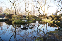 浅間神社の池
