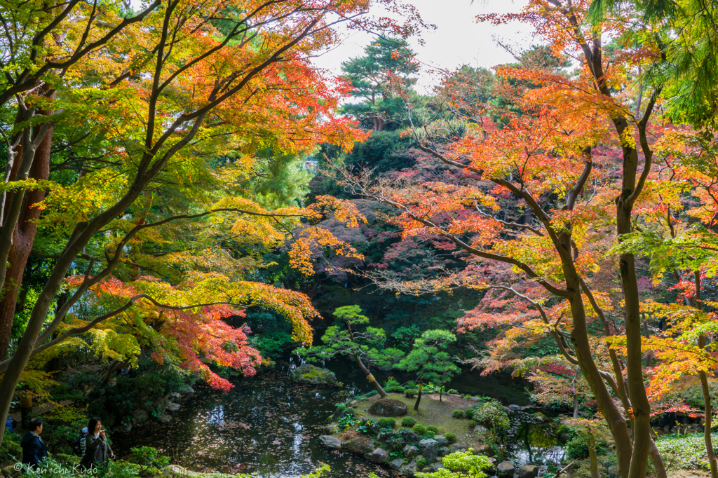 秋の殿が谷戸庭園