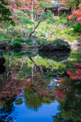 殿が谷戸庭園（ちょっと紅葉）