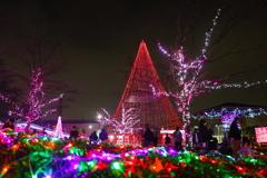 イルミネーション