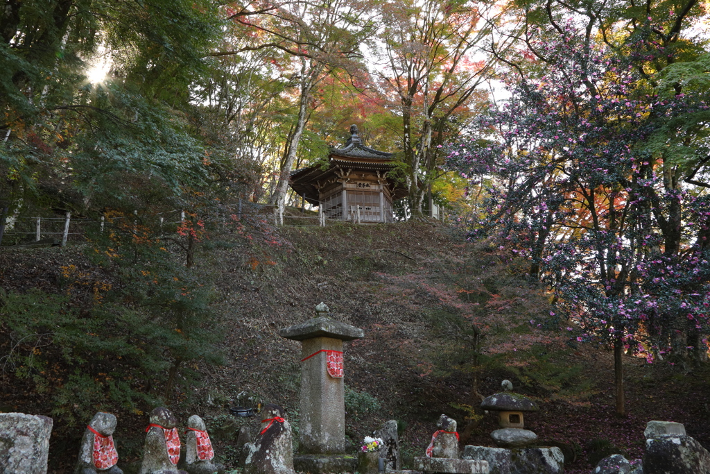 紅葉