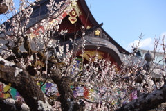 天神さん