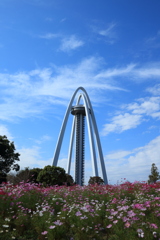 タワーパーク