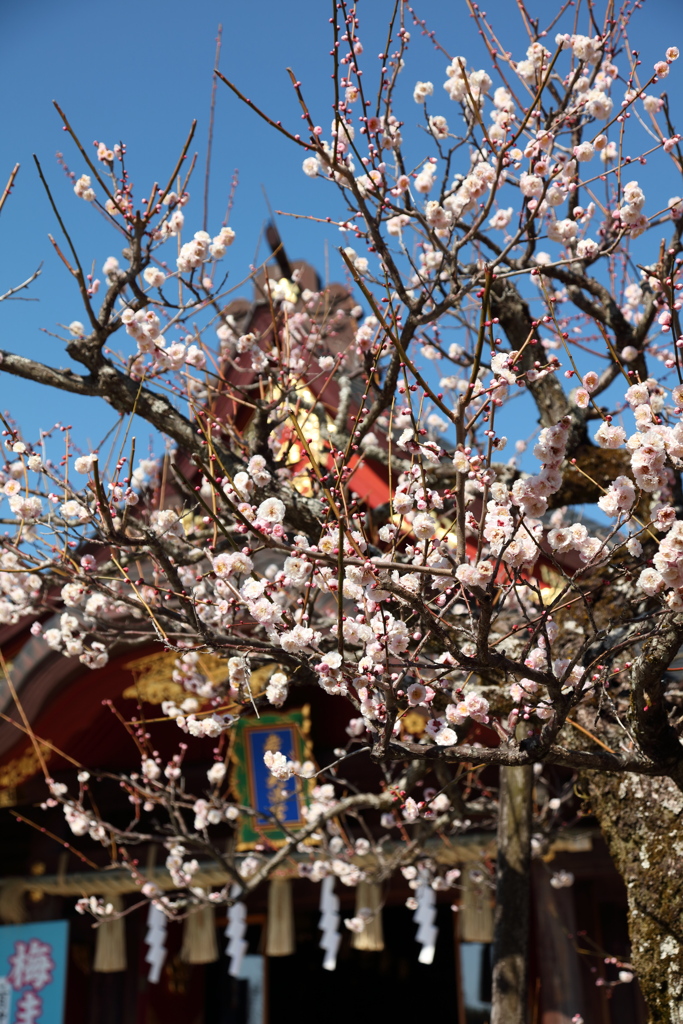 岩津天神