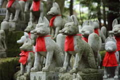 豊川稲荷１