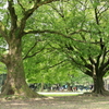 朝練風景