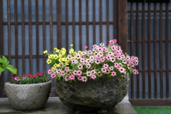 古い町並にて２