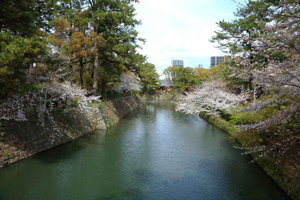 岡崎城の堀