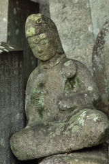 栄枯盛衰