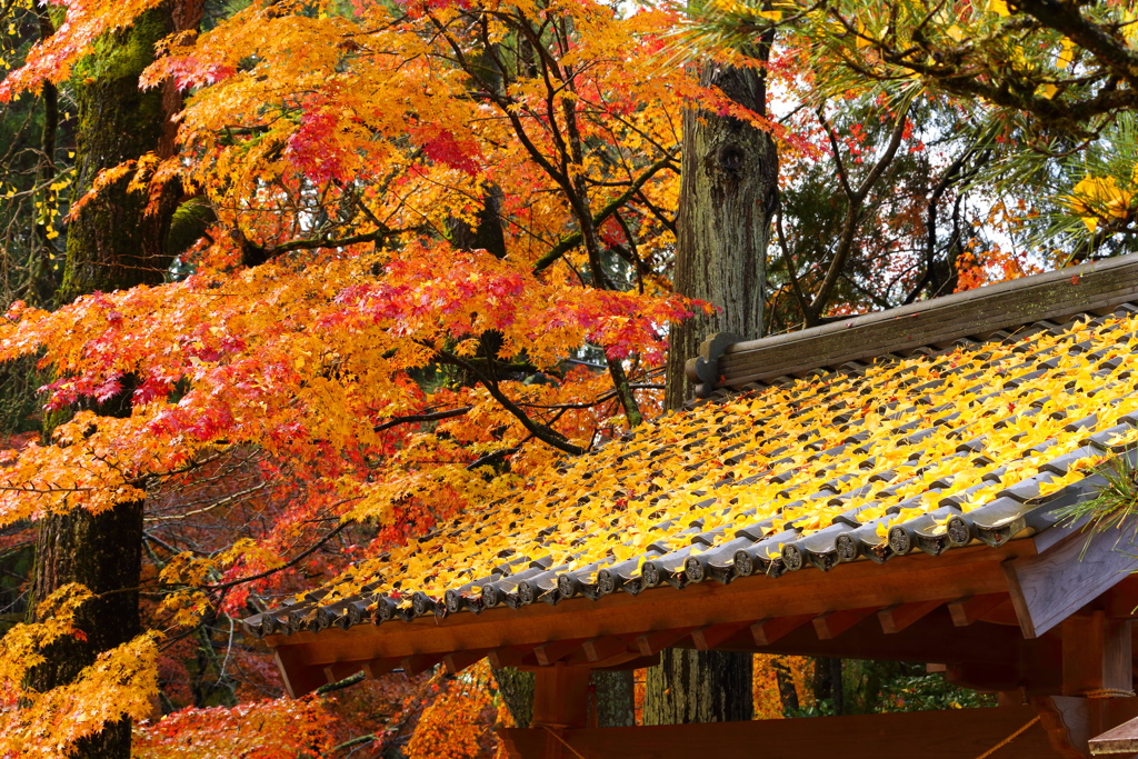 徳川発祥の地「松平の里」