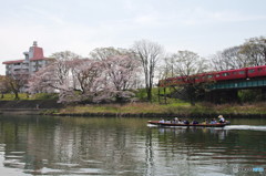 岡崎公園４
