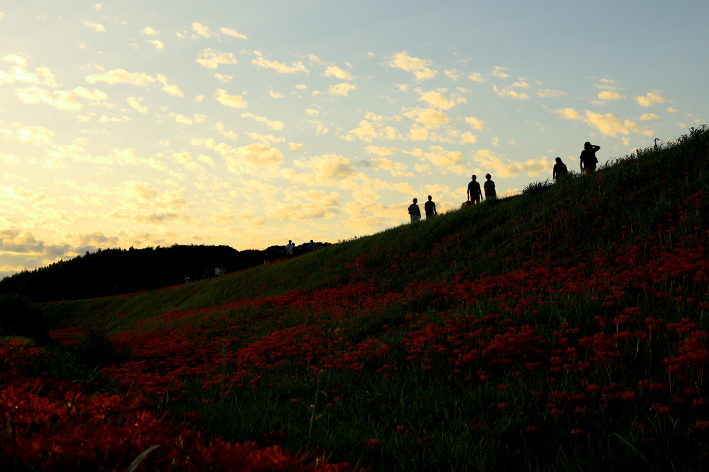秋の夕景
