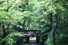香積寺(こうじゃくじ・愛知県)