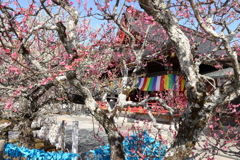 天神様