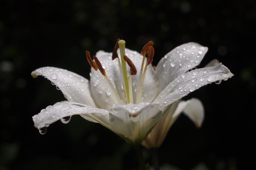 梅雨の日の午後