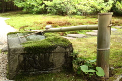 茶室横の手水場