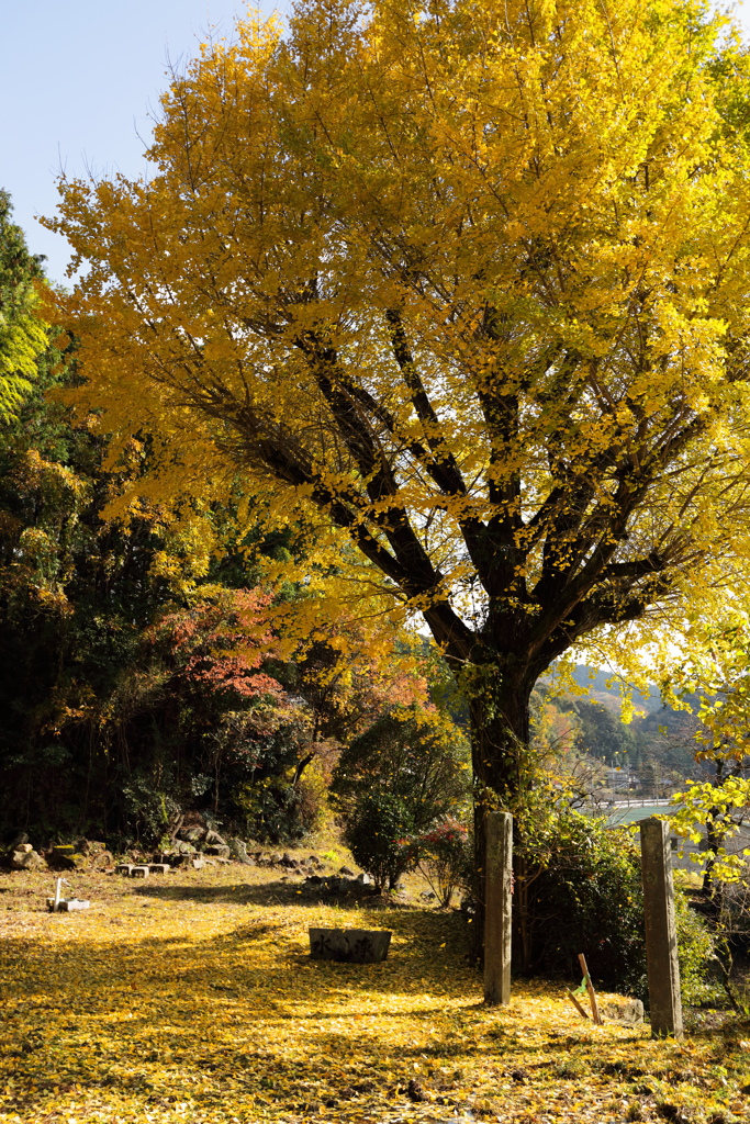 徳川発祥の地「松平の里」