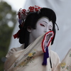 子供歌舞伎