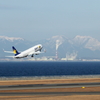 中部国際空港へ見送りに