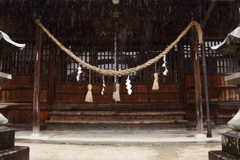 雨降りの神社