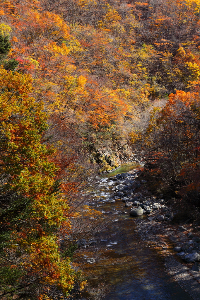 峠の紅葉