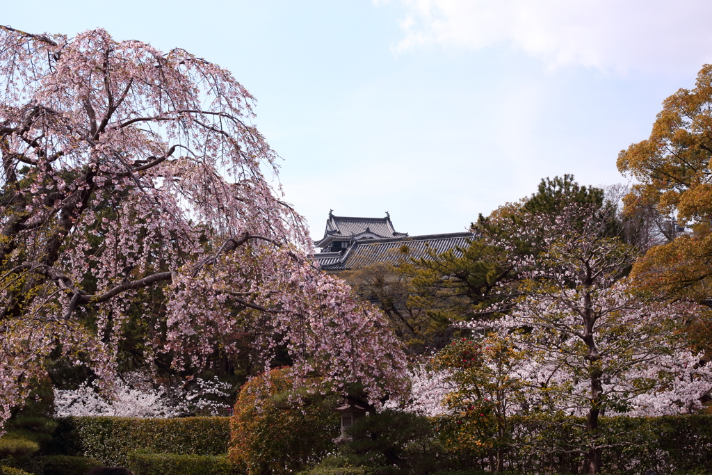 岡崎城