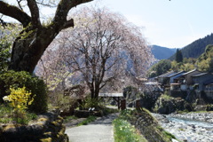 山里の春
