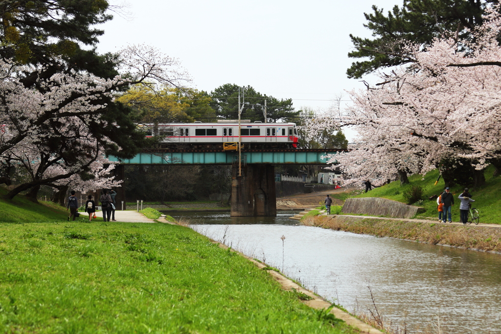 岡崎公園