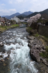 山里の春