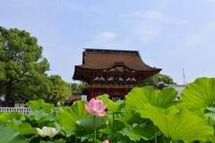 伊賀八幡宮