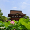 伊賀八幡宮