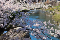 I山里の春