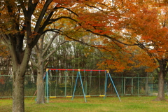 秋・公園風景