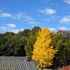 興正寺