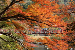 山里の紅葉