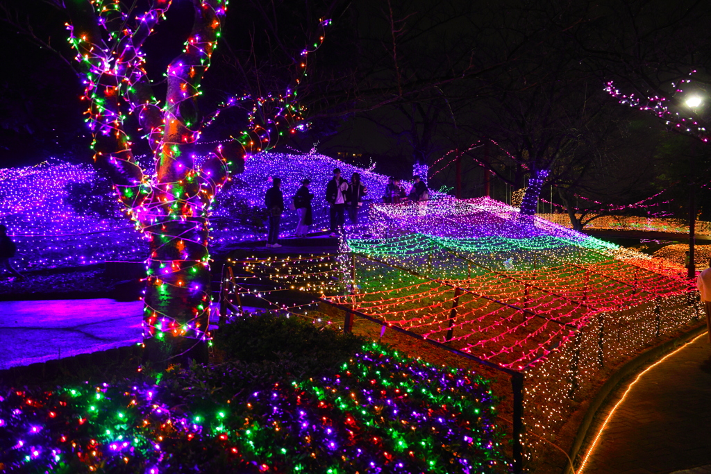 イルミネーション