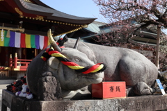 撫で牛