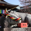 撫で牛