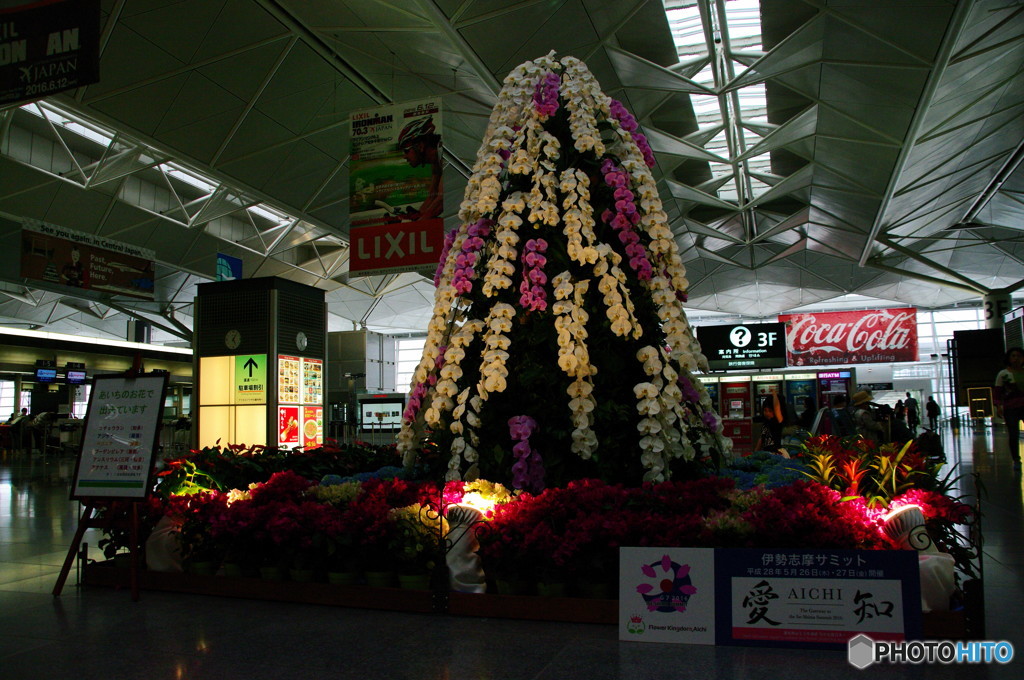 中部国際空港