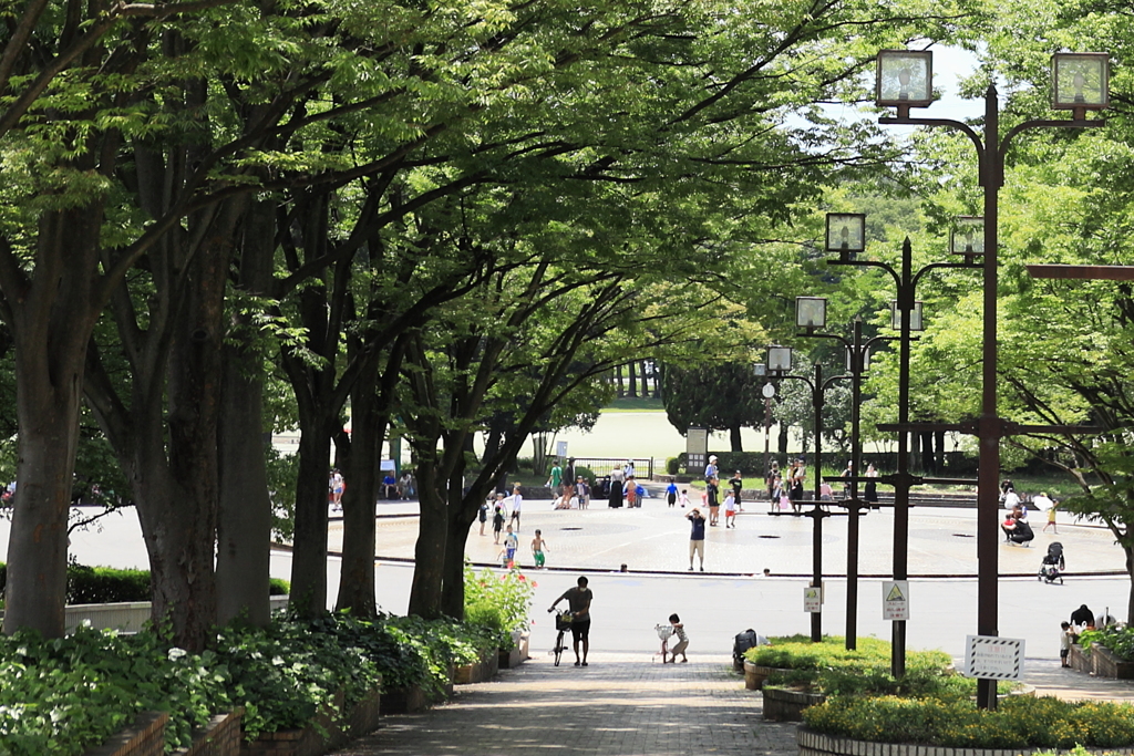 公園へ通じる道