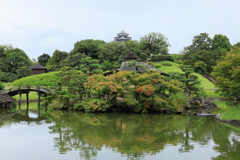 色づき始め