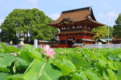 伊賀八幡宮