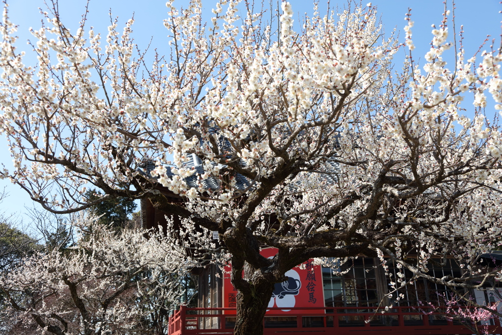 岩津天神