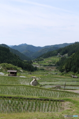 四谷千枚田１