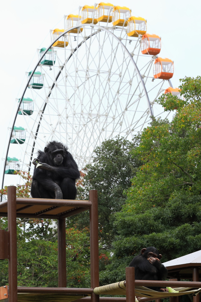動物園